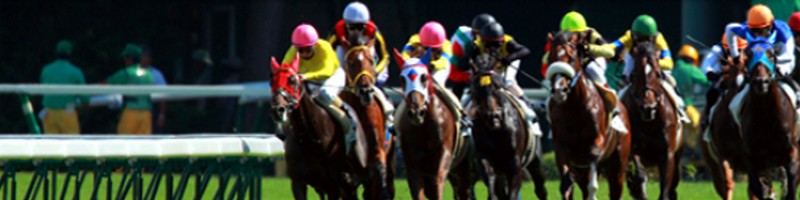 ���n�\�z�Ȃ�I�u���n�ŋ��̖@��WEB�v�Љ�T�C�g���T�C�g